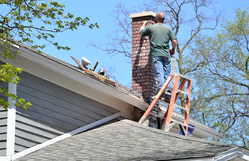 Chimney & Fireplace Inspections Services in Westchase, FL